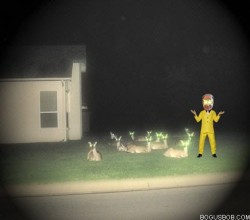  What are all these deer doing on my front lawn? 